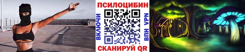 Купить где  Светлогорск  Псилоцибиновые грибы мицелий 